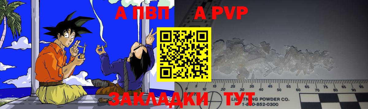 A PVP СК Красноярск