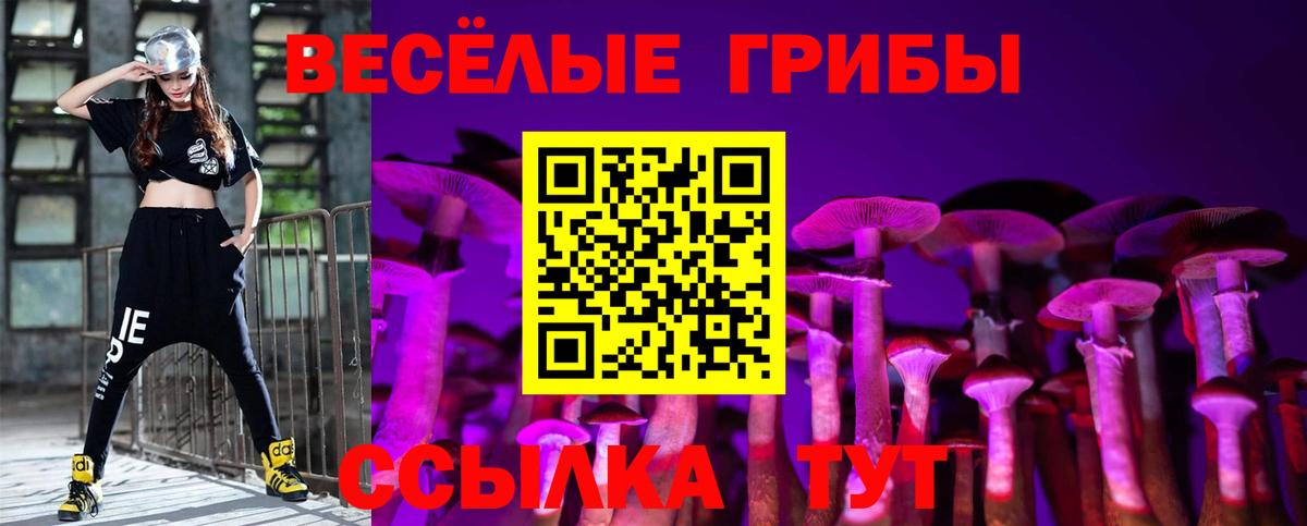 Псилоцибиновые грибы Psilocybine cubensis Красноярск